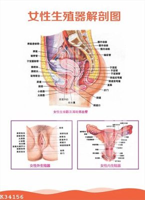 File in lụa File gốc in tranh tổng hợp K34156 (phong cảnh) File gốc in tranh tổng hợp K34156