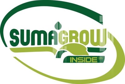 File in trần File gốc in tranh tổng hợp K34168 (bản gốc) hoa văn