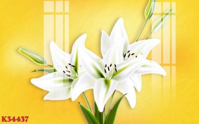 File ảnh File gốc in tranh tổng hợp K34437 (gốc) in poster