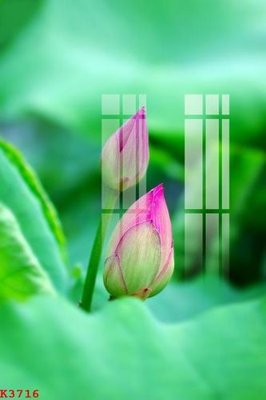 File ảnh File gốc in tranh tổng hợp K3716 (gốc) in Hiflex