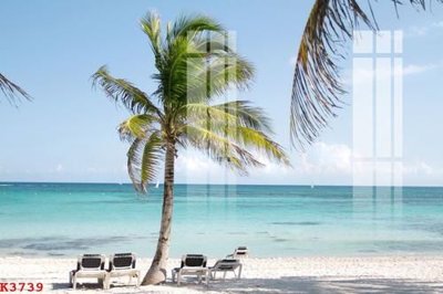 File gốc File gốc in tranh tổng hợp K3739 (ảnh rõ nét) để in