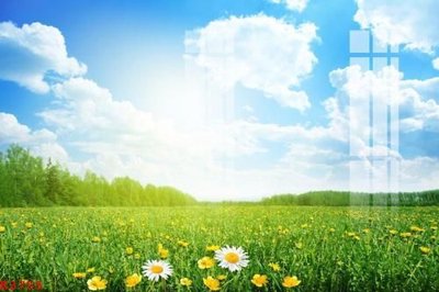 File in ấn cao cấp File gốc in tranh tổng hợp K3755 (file gốc)