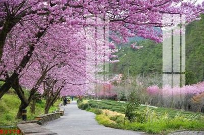 File gốc File gốc in tranh tổng hợp K3778 (phiên bản chuẩn) để in ấn