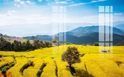 File PSD File gốc in tranh tổng hợp K3791 (gốc) tách lớp chi tiết