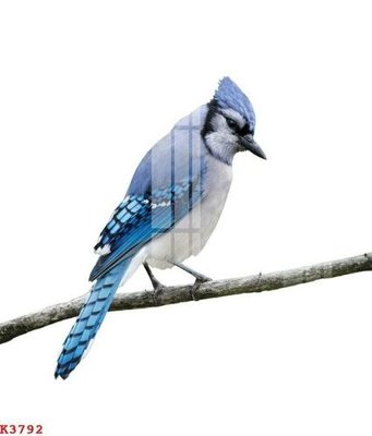 File tranh File gốc in tranh tổng hợp K3792 (bản gốc) trang trí văn phòng