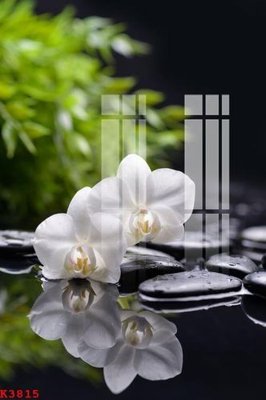 Tải file File gốc in tranh tổng hợp K3815 (ảnh gốc) file AI/EPS