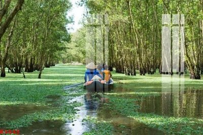 File gốc in ấn File gốc in tranh tổng hợp K3845 chuẩn màu CMYK