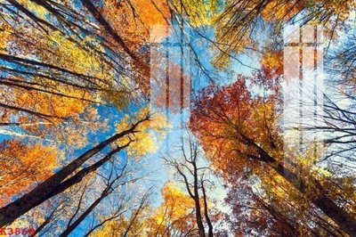 File gốc File gốc in tranh tổng hợp K3860 (chủ đề hiện đại) trang trí