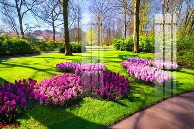 File in lụa File gốc in tranh tổng hợp K3910 (phong cảnh) File gốc in tranh tổng hợp K3910