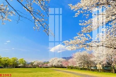 File gốc File gốc in tranh tổng hợp K3983 (in lụa) tranh phong thủy