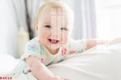 File tranh File gốc in tranh tổng hợp K4010 (gốc) chủ đề tĩnh vật