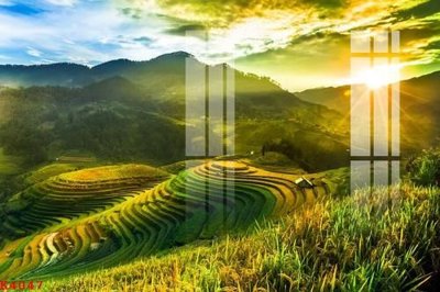 File gốc File gốc in tranh tổng hợp K4047 (in lụa) họa tiết 3D