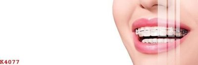 File tranh File gốc in tranh tổng hợp K4077 (gốc) chủ đề động vật