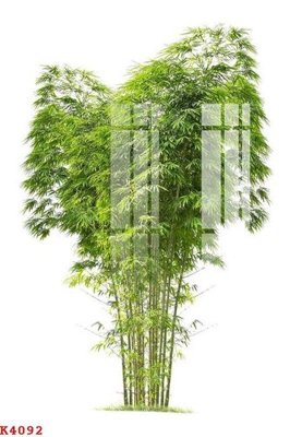 File in trần File gốc in tranh tổng hợp K4092 (file gốc) hoa văn 3D