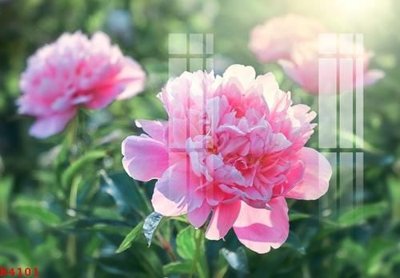 File tranh File gốc in tranh tổng hợp K4101 (gốc) chủ đề thành phố