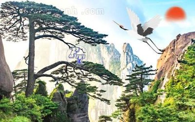 File tranh trang trí File gốc in tranh tổng hợp tường nền K41329 (tải file gốc)