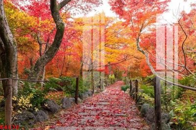 Chi tiết file tranh tráng gương File gốc in tranh tổng hợp K4138 (ảnh gốc)