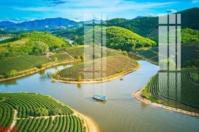 File tranh File gốc in tranh tổng hợp K4197 (gốc) phong cách tối giản