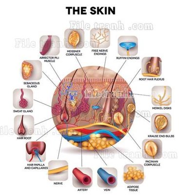 Tải file File gốc in tranh tổng hợp tường nền K43002 (gốc) làm tranh trang trí