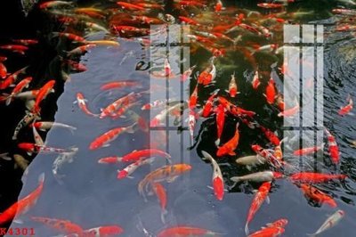 File gốc File gốc in tranh tổng hợp K4301 (bản quyền) cho in ấn