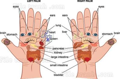 File in mica File gốc in tranh tổng hợp tường nền K43358 (ảnh gốc) đẹp