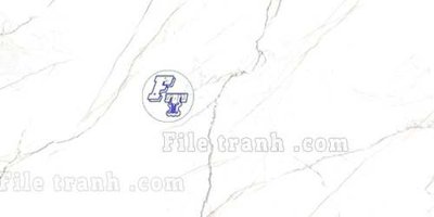 File ảnh File gốc in tranh tổng hợp tường nền K43768 (gốc) in backdrop sự kiện