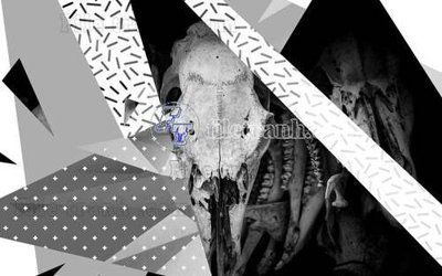 File ảnh File gốc in tranh tổng hợp tường nền K44766 (gốc) in backdrop sự kiện