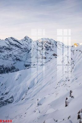 File in ấn File gốc in tranh tổng hợp K4488 (bản gốc) chất lượng cao