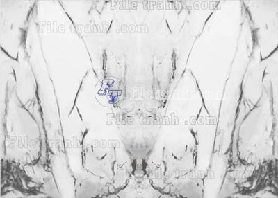 Tệp tin gốc File gốc in tranh tổng hợp tường nền K44909 (chất lượng cao) File gốc in tranh tổng hợp tường nền K44909