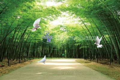 File in trần File gốc in tranh tổng hợp tường nền K45463 (bản gốc) hoa văn