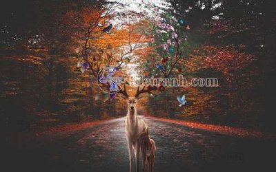 File tranh File tranh gốc dán tường hươu nai sừng K47126 (gốc) in backlit film