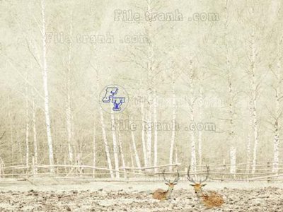 Tải file gốc File tranh gốc dán tường hươu nai sừng K47219 (in tráng gương) cao cấpFile gốc File tranh gốc dán tường hươu nai sừng K47219 (in ấn) phiên bản độc quyền