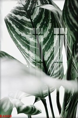 File in trần File gốc in tranh tổng hợp K4808 (file gốc) phong thủy