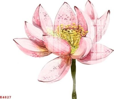 Hình ảnh file gốc in trần nhà File gốc in tranh tổng hợp K4827