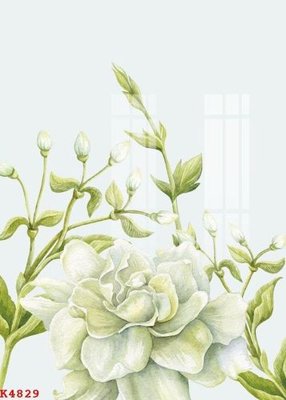 Tải file gốc File gốc in tranh tổng hợp K4829 dùng cho in ấn