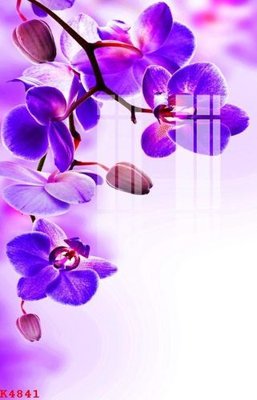 File tranh gốc File gốc in tranh tổng hợp K4841 (sắc nét từng chi tiết)