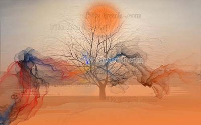 File in mica File tranh gốc tranh tường hoa 3d đẹp K48415 (bản gốc) làm vách ngăn