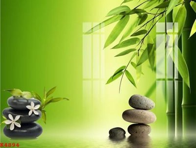 File tranh File gốc in tranh tổng hợp K4894 (file gốc) chủ đề phong thủy