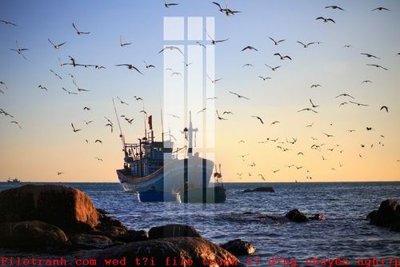 Download file gốc File gốc in tranh tổng hợp K49050 (in mica) trong suốt