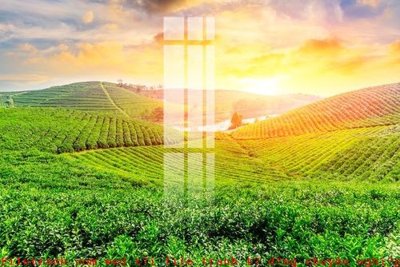 Tệp tin gốc File gốc in tranh tổng hợp K49081 (dùng cho in) File gốc in tranh tổng hợp K49081