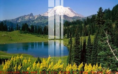 File ảnh File gốc in tranh tổng hợp K49101 (gốc) in decal dán tường