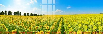 File gốc File gốc in tranh tổng hợp K49377 (cho in ấn) độc quyền