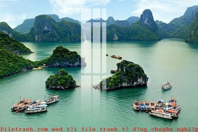 File tranh File gốc in tranh tổng hợp K49386 (gốc) phong cách tối giản