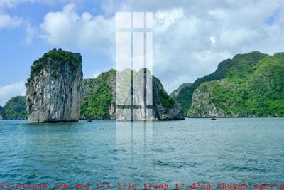 File tranh gốc File gốc in tranh tổng hợp K49456 (bản đẹp) độc quyền