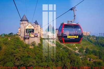 File tranh File gốc in tranh tổng hợp K49461 (gốc) chủ đề động vật