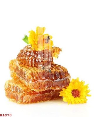 Download file gốc File gốc in tranh tổng hợp K4970 (in mica) logo