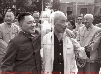 File tranh File gốc in tranh tổng hợp K49700 (gốc) chủ đề tĩnh vật