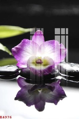 Hình ảnh file gốc in trần nhà File gốc in tranh tổng hợp K4976