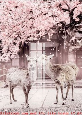 Tải file tranh File gốc in tranh tổng hợp K49798 (gốc) tại Filetranh.com