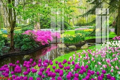 File tranh gốc PSD File gốc in tranh tổng hợp K4980 còn nguyên layer